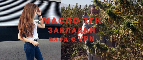 гидра Бородино