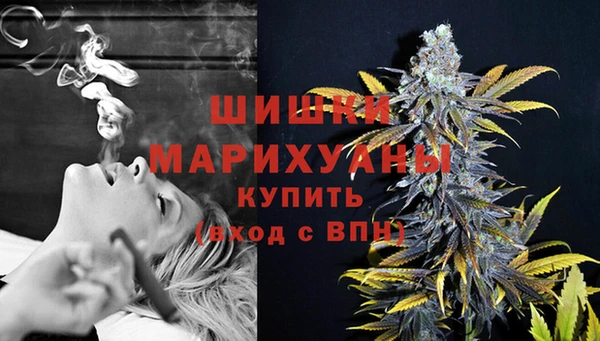 гидра Бородино