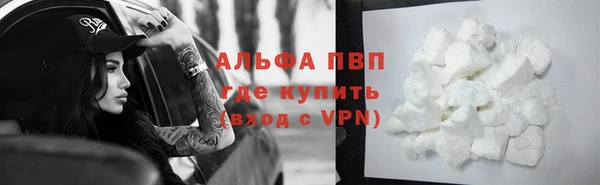 гидра Бородино