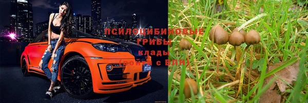 молекула духа Верея