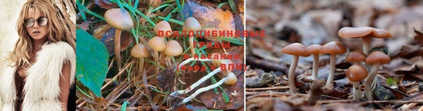 молекула духа Верхнеуральск